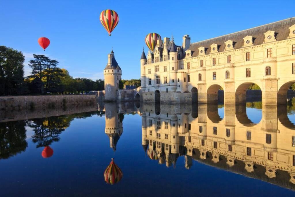 Amalouyse Chambre De Charme Au Coeur Des Chateaux De La Loire Монлуї-сюр-Луар Екстер'єр фото